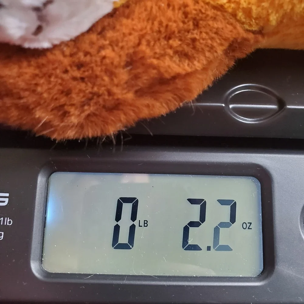 Sleeping 8